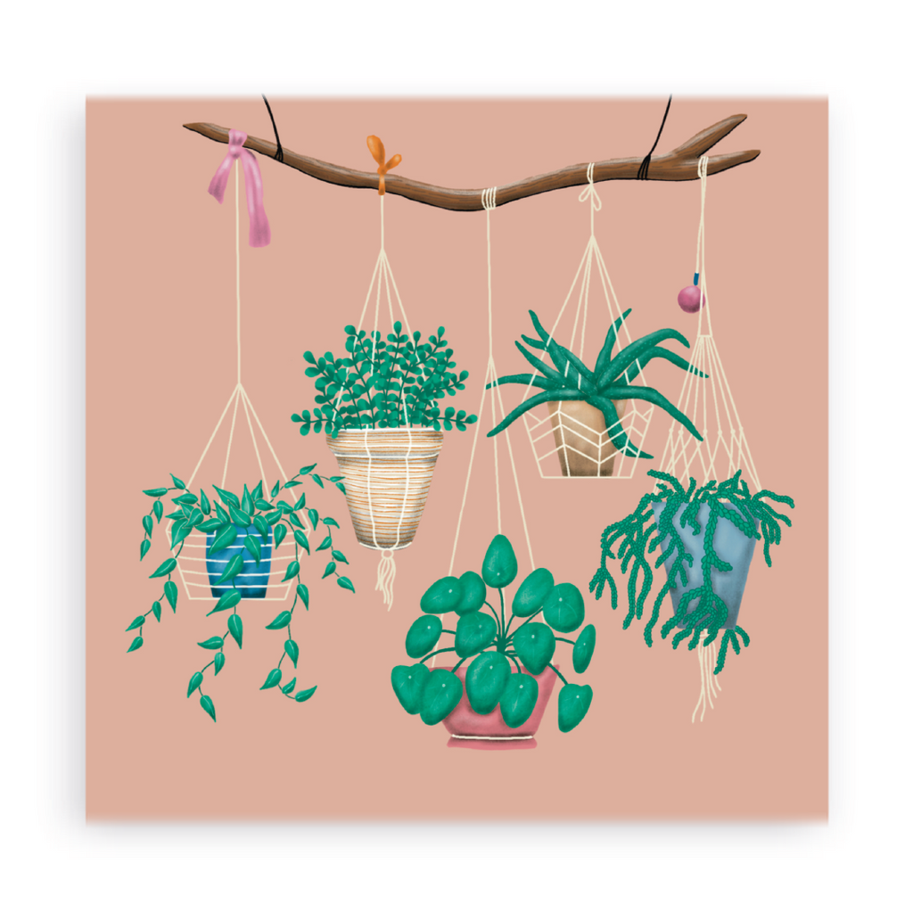 Kaart Hanging plants