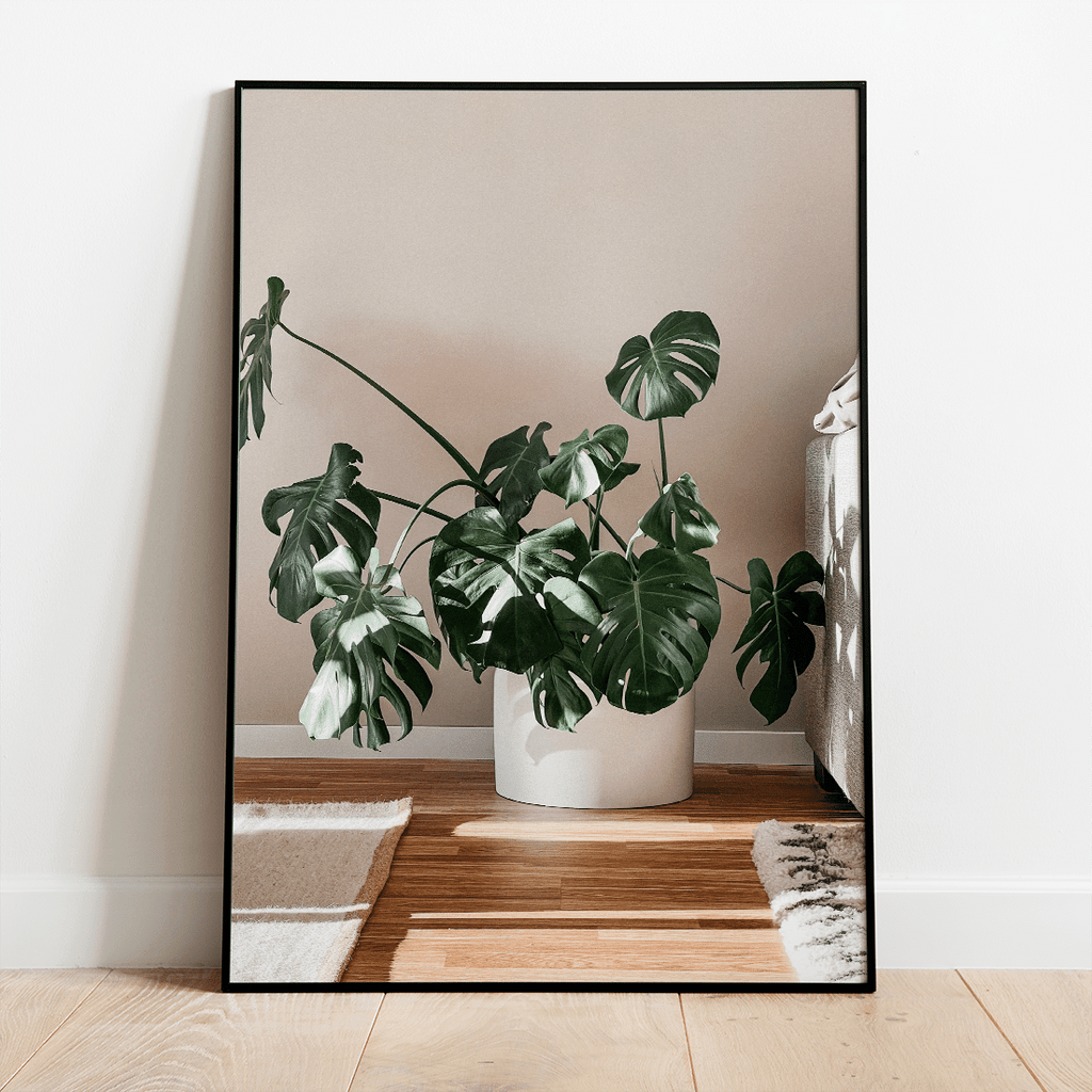 Poster - plant