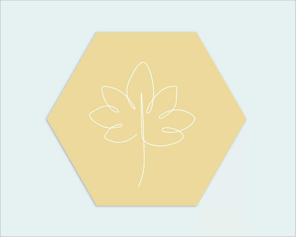 Hexagon geel wit blad - Wimaki