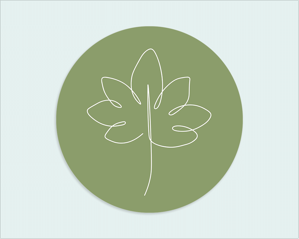 Muurcirkel groen wit blad - Wimaki