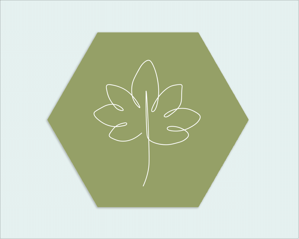 Hexagon groen wit blad - Wimaki