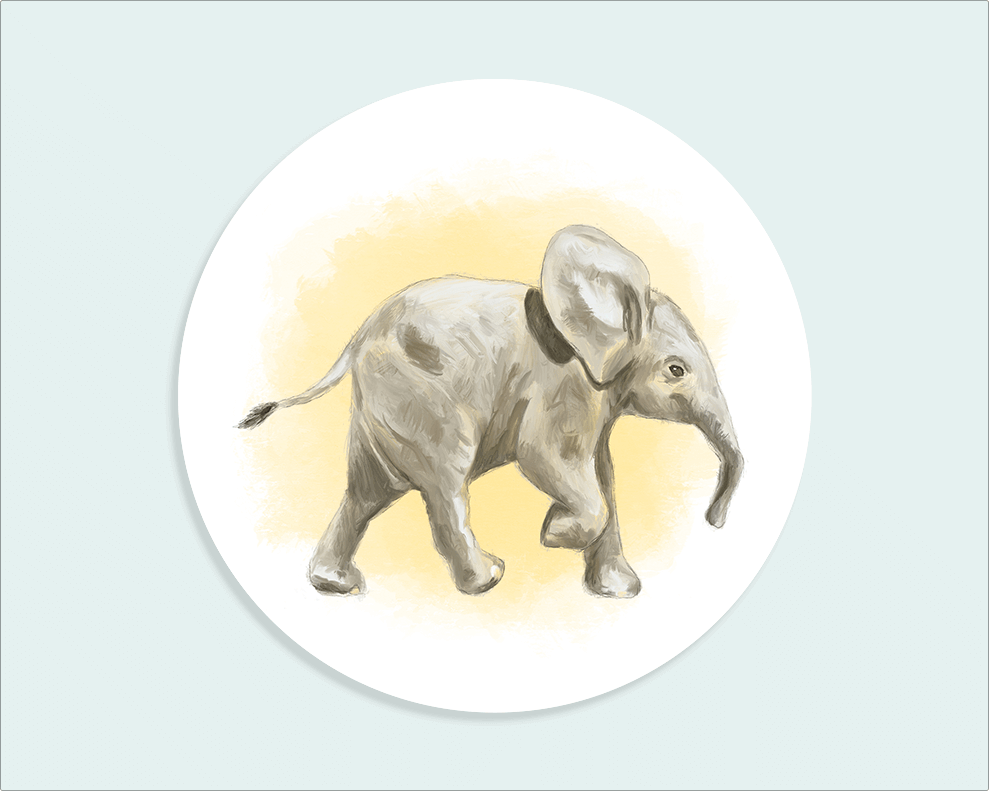 Wandcirkel olifant