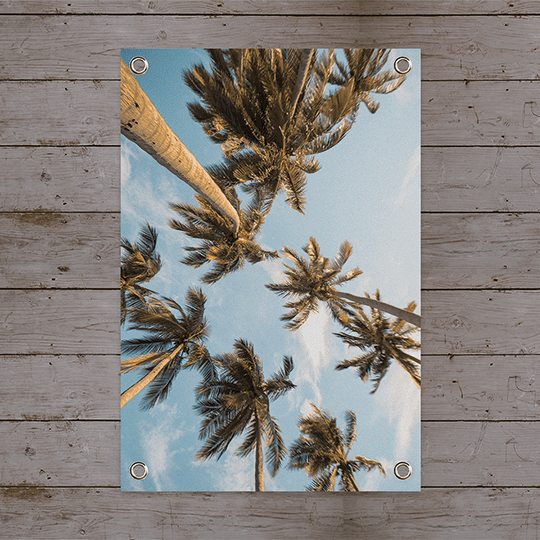palmbomen, tuinposter, palmboom, natuur