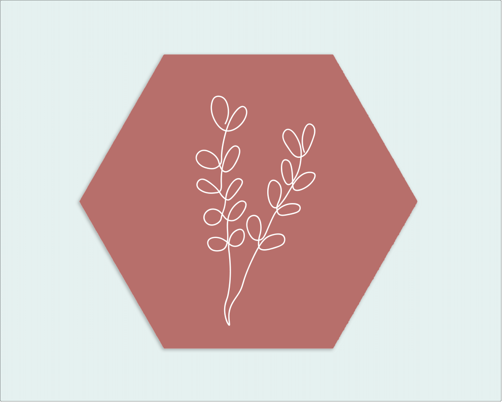 Hexagon roze witte tak - Wimaki