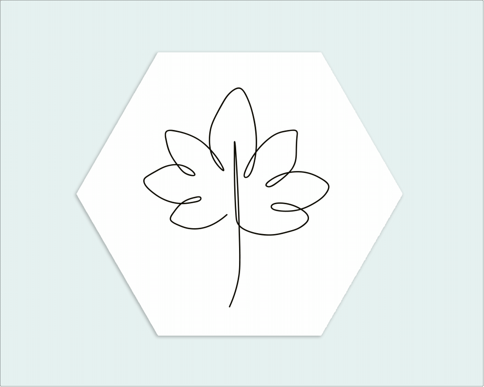 Hexagon wit zwart blad - Wimaki
