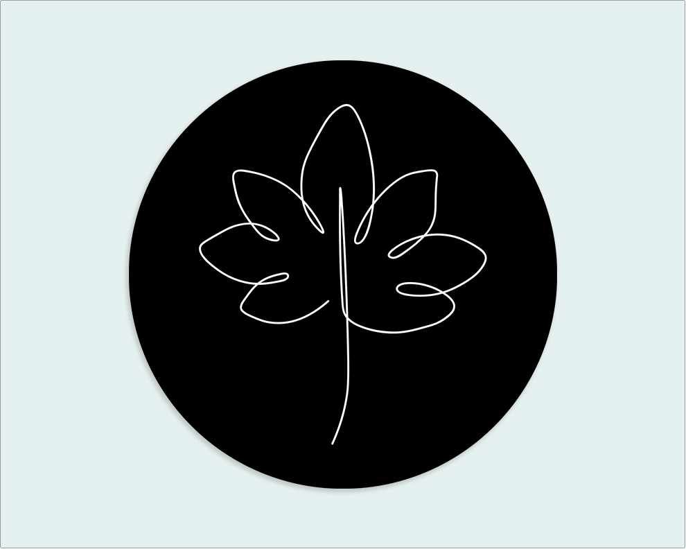 Muurcirkel zwart wit blad - Wimaki