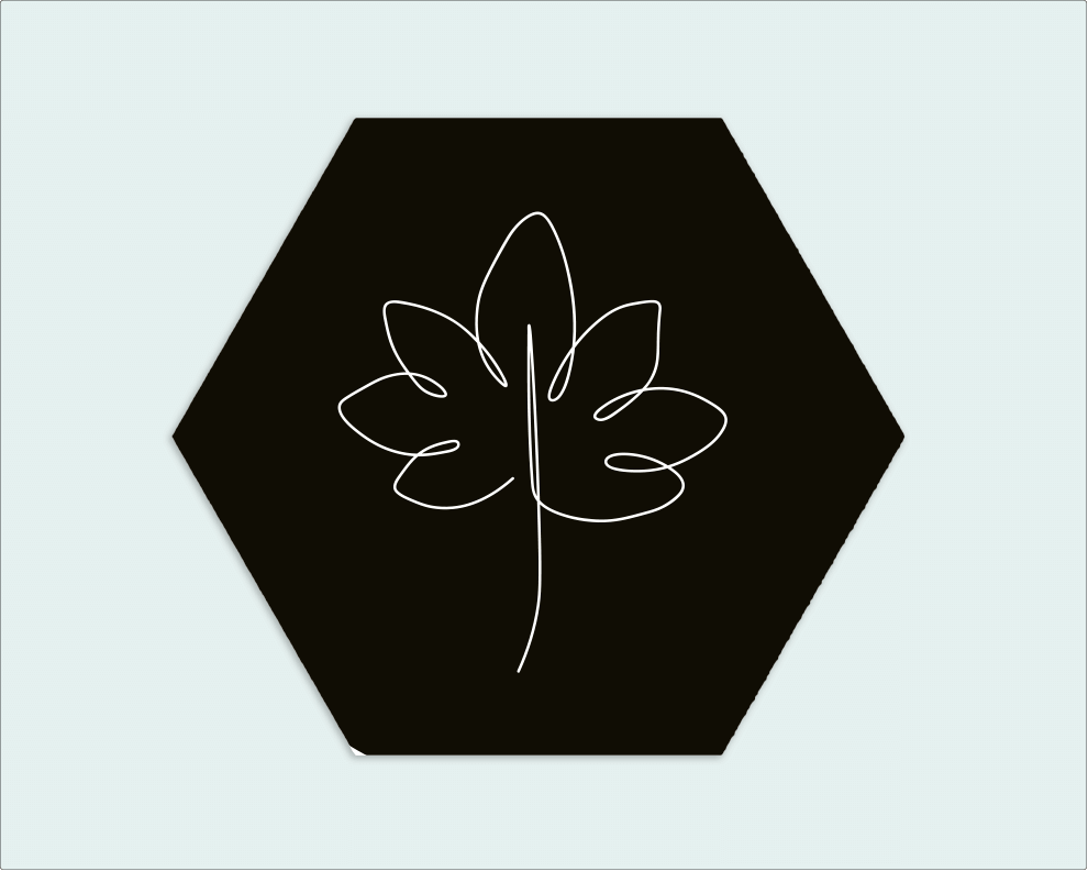 Hexagon zwart wit blad - Wimaki