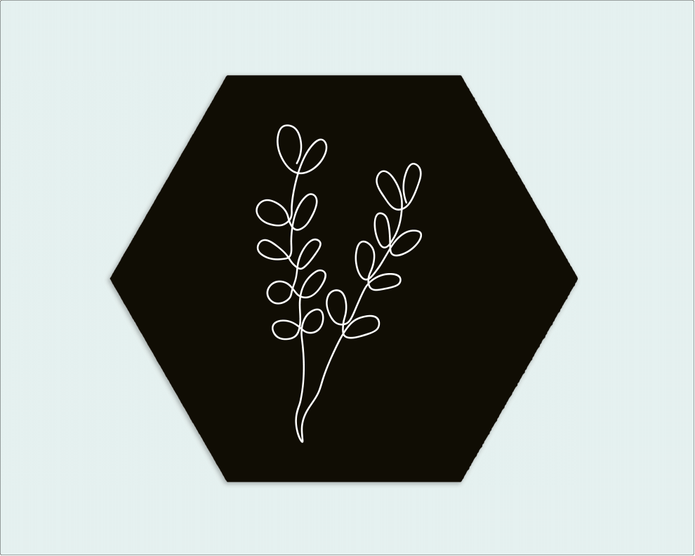 Hexagon zwart witte tak - Wimaki